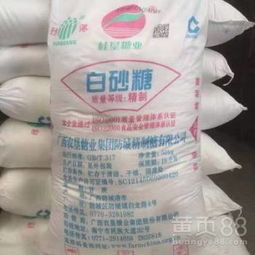 上海