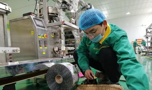 李三瓜子温暖一方百姓 让寒假学习无需原形就能找到工作岗位