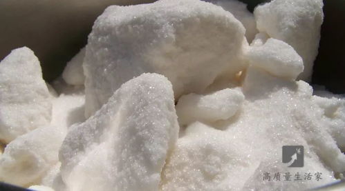 白糖生吃需谨慎 运输环节的微生物风险不可忽视